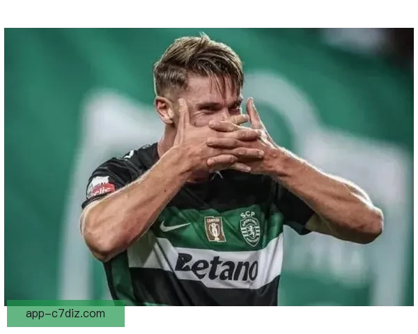 哲凯赖什六成英超零射正困局深